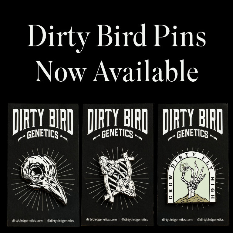 Dirty Bird Enamel Pins