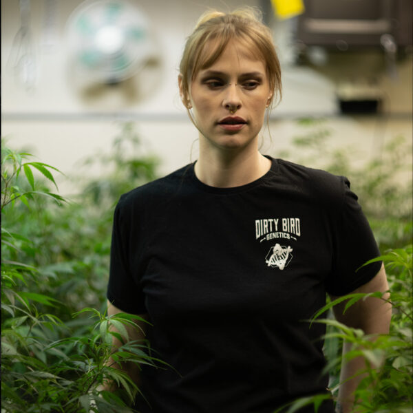Dirty Bird Genetics Black T-Shirt