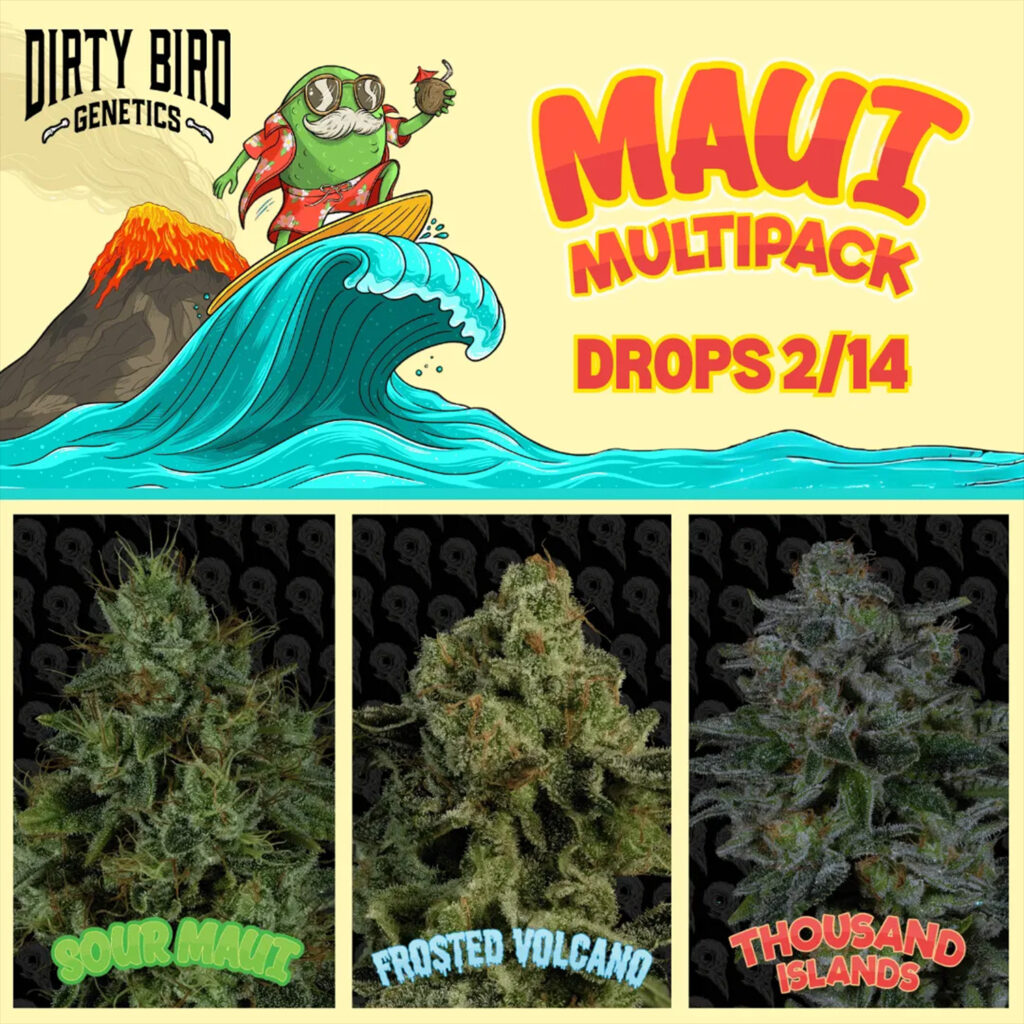 Maui Multipack