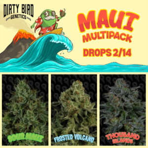 Maui Multipack
