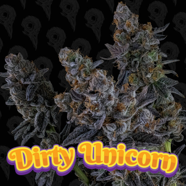 Dirty Unicorn Seeds