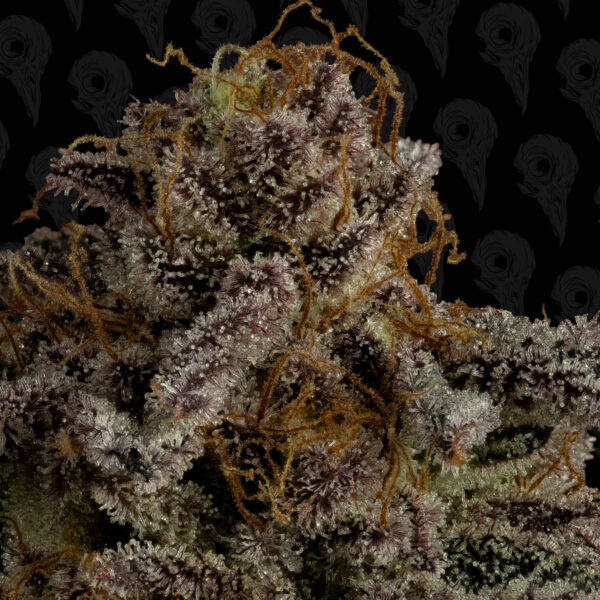 Bad Apple Seeds - Image 4