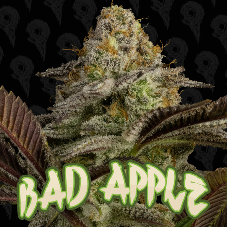 seed-vol-2-bad-apple-cover-01