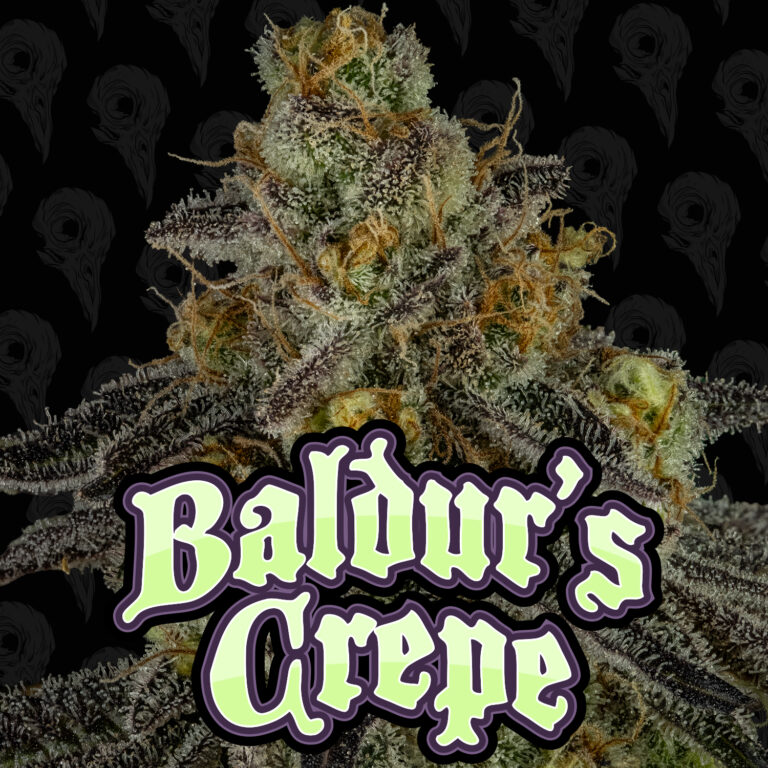 seed-vol-2-baldurs-crepe-cover-01