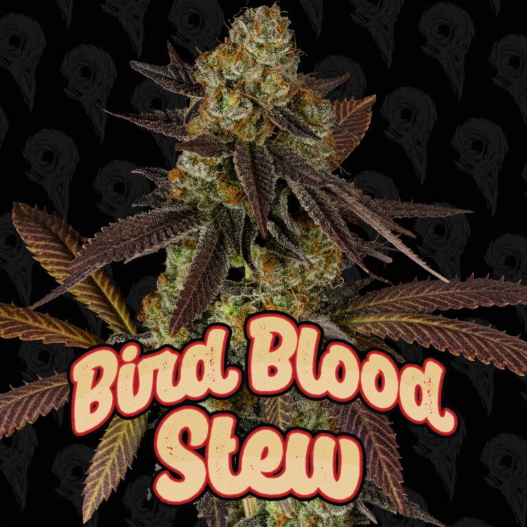seed-vol-2-bird-blood-stew-cover-01