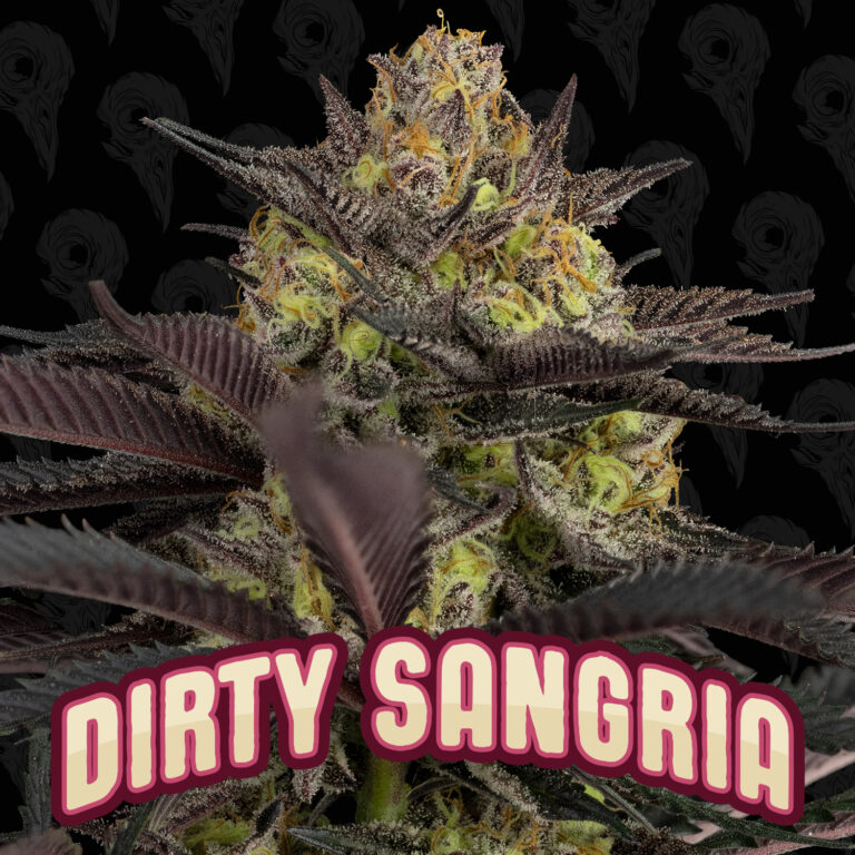seed-vol-2-dirty-sangria-cover-01