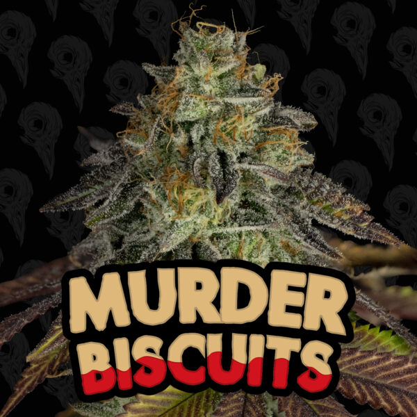 Murder Biscuits Seeds