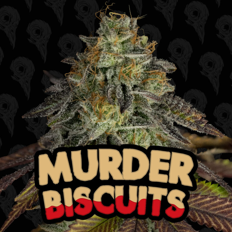 seed-vol-2-murder-biscuits-cover-01