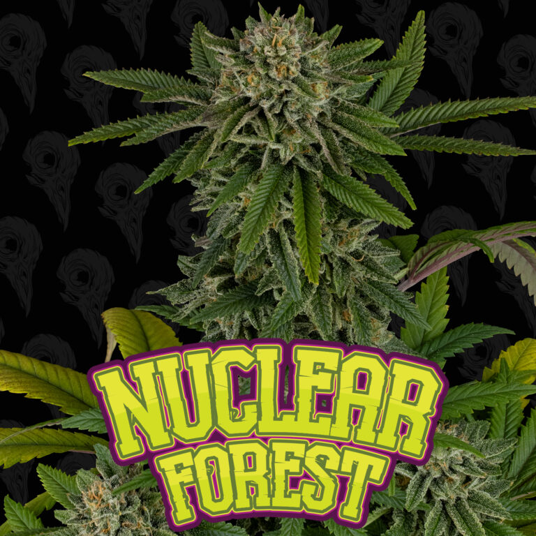 seed-vol-2-nuclear-forest-cover-01