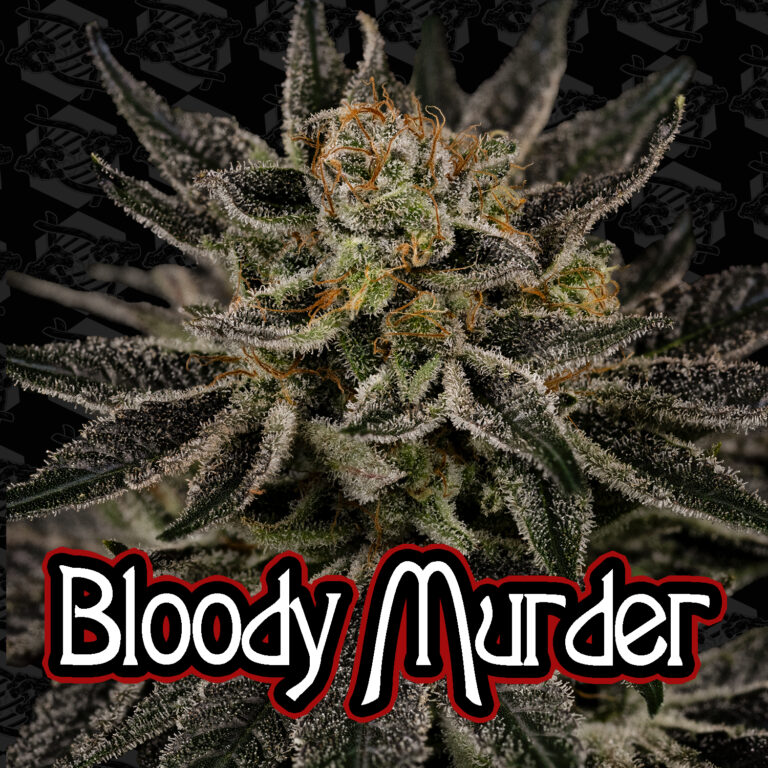 tester-bloody-murder-cover-01