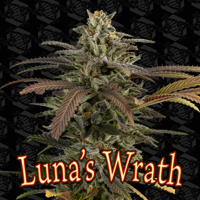 tester-lunas-wrath-cover-01