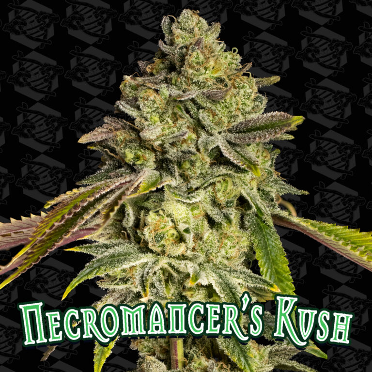 tester-necromancers-kush-cover-01