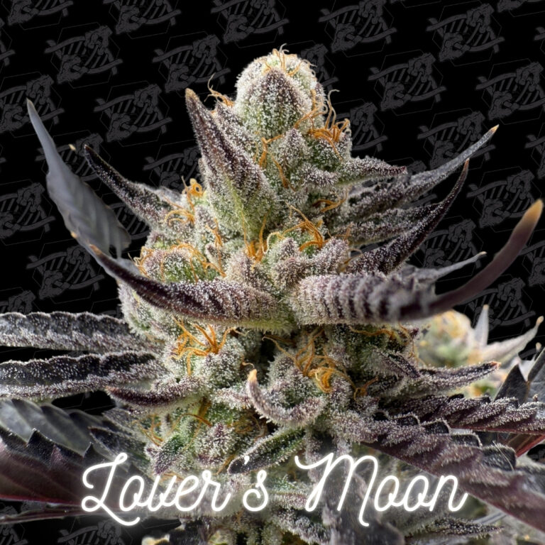 lovers-moon-profile
