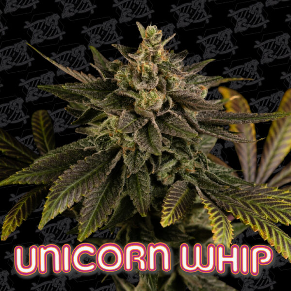 Unicorn Whip Seeds Tester