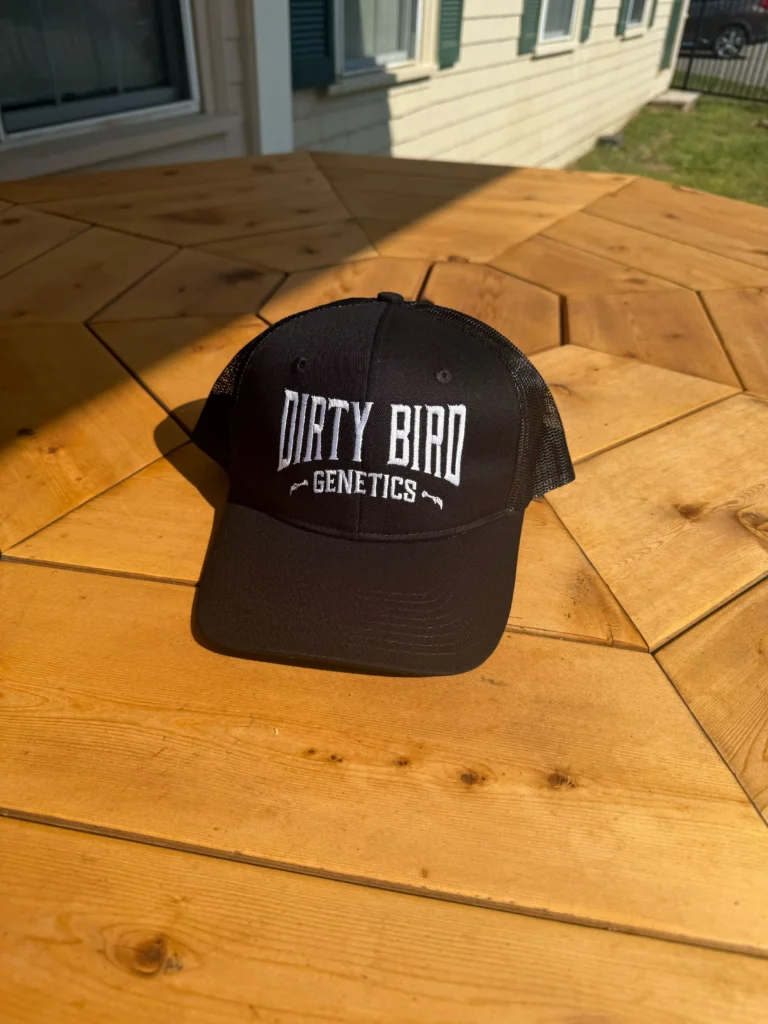 Dirty Bird Genetics Snapback Hat