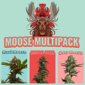 Moose Multipack