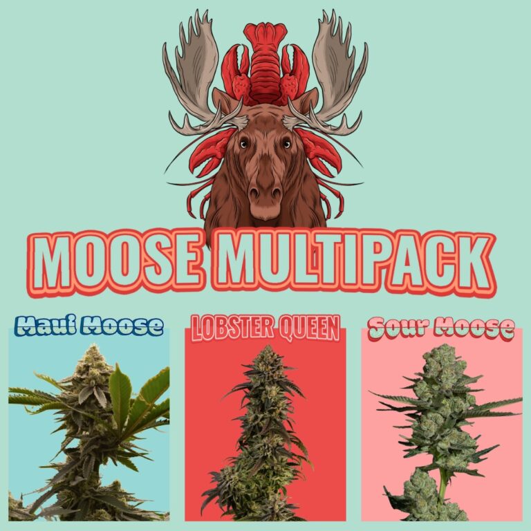 MooseMultipack