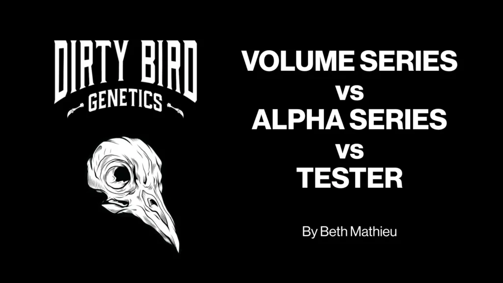 Dirty Bird Volume Series vs Alpha Series vs Tester