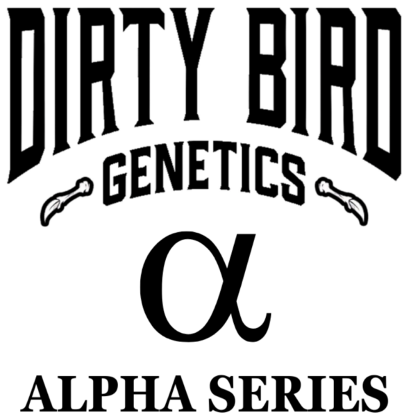 Dirty Bird Alpha Series Logo