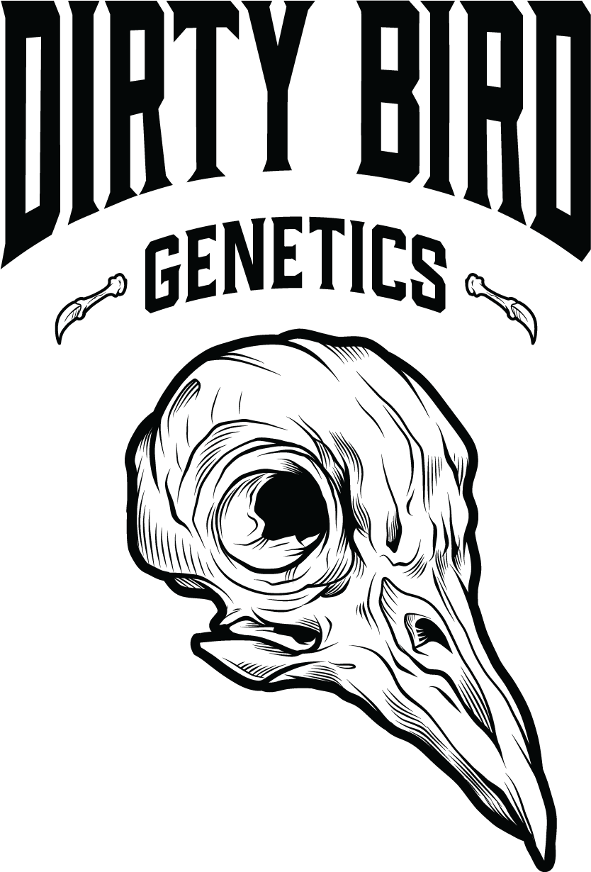Dirty Bird Genetics Logo