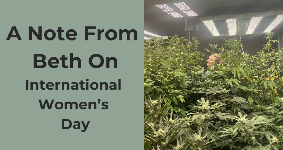 International Women's Day Banner