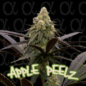 Apple Peelz - Alpha Series - 5-Pack