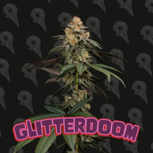 Glitterdoom Seeds