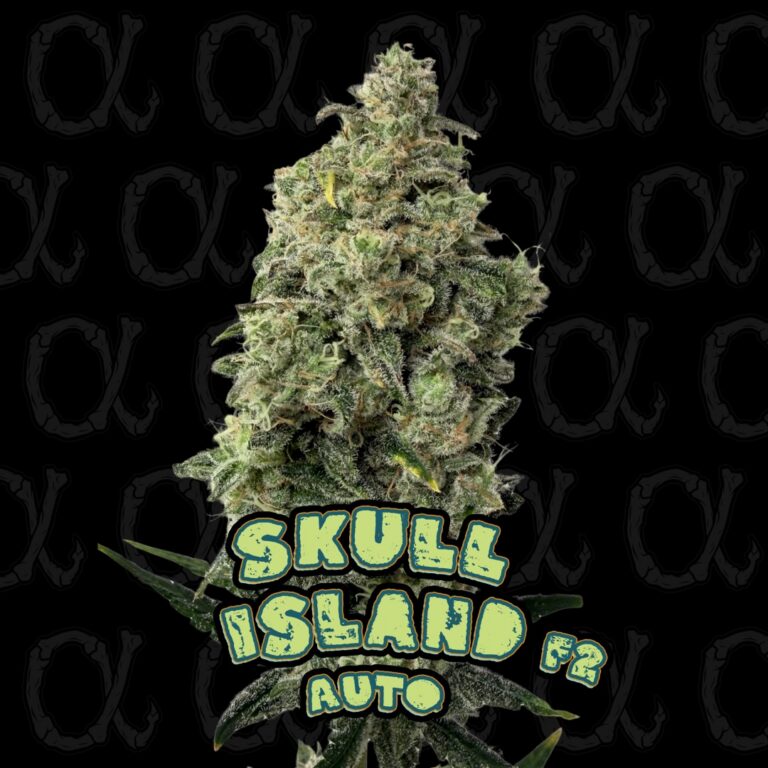 SKULL ISLAND F2 AUTO - 11