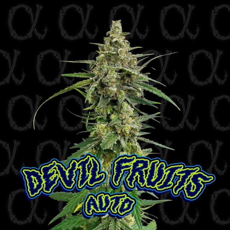 Devil Fruits - 4